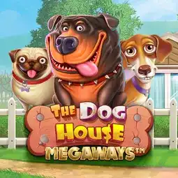 The Dog House Megaways game at Playamo Casino for Australian players The Dog House Megaways game at Playamo Casino for Australian players