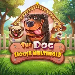 The Dog House Multihold game at Playamo Casino for Australian players The Dog House Multihold game at Playamo Casino for Australian players